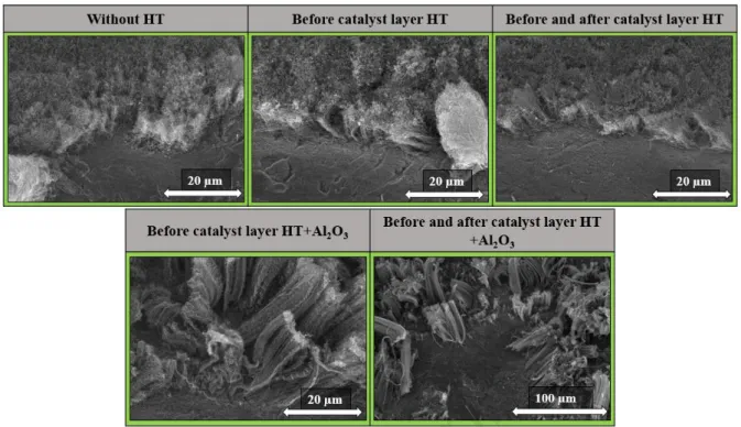 Fig. 1: SEM images of CNT forests synthesized over substrates with different heat- heat-treatments (HT) applied during catalyst layer building