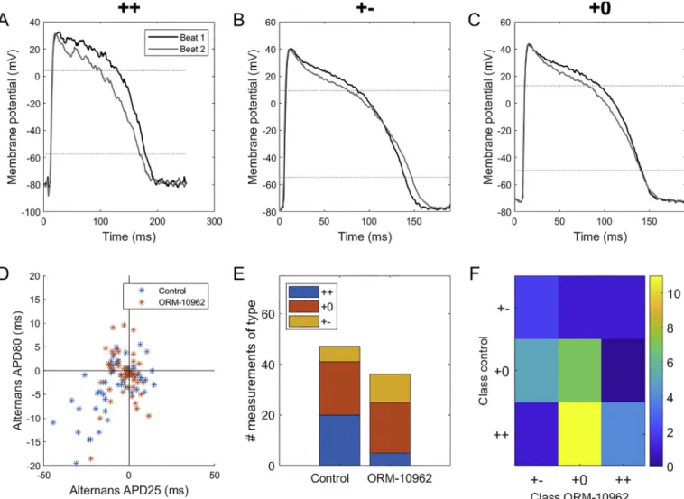 Fig. 2. Distinct patterns of alternans at two repolarization levels. A-C) Examples of  ’++’ ,  ’+− ’ , and  ’+ 0 ’  types of alternans respectively (i.e., shortening plateau  corresponds to prolonged, shortened, or unchanged APD at 80% level of repolarizat