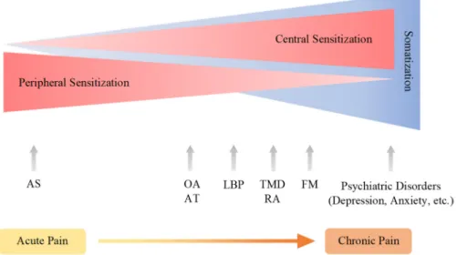 Figure 5. The continuum of pain sensitization and somatization. Chronic pain arises through a  complex pathogenic process involving more components and developing into the pain continuum