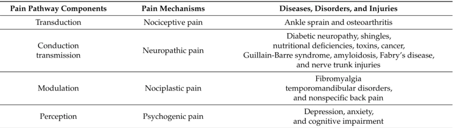 Table 1. Pain pathway components, pain mechanisms, and representative diseases.