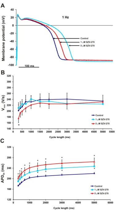 Fig. 5. Effect of SZV-270 (1 and 5 µM) on the action potential, on V max  and APD 90  at different stimulation  cycle lengths recorded from dog right ventricular papillary muscle preparations