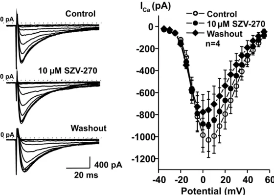 Fig. 9. SZV-270 did not influence I Ca,L  even at the high concentration of 10 µM in isolated rabbit right  ventricular cardiomyocytes