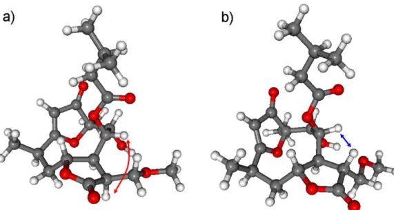 Figure 4. The characteristic H-8–H-11 NOE correlation indicated on the lowest-energy conformers  of the (a) (4R,6R,7S,8S,9R,10R,11S)-2 (3.50 Å ) and (b) (4R,6R,7S,8S,9R,10R,11R)-2 (2.19 Å )  stereoiso-mers