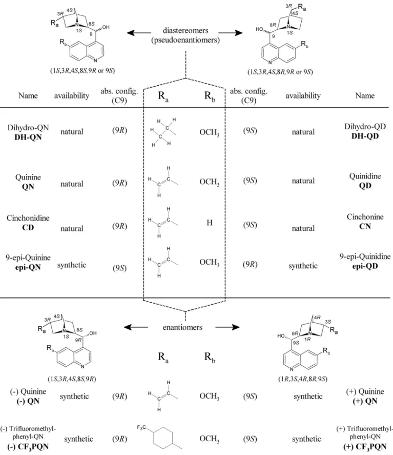 Fig.  1. Structure  of  natural and synthetic Cinchona alkaloids. 