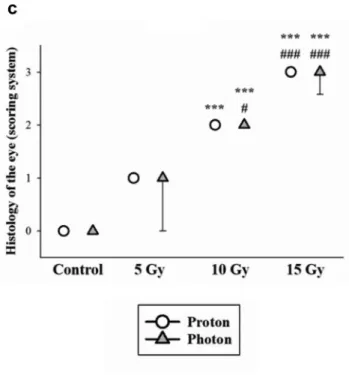 Figure 7.  Summary of the histological evaluation of radiation induced damage in different tissues after photon (triangles) and proton (squares, averaging mid of spread out of Bragg peak and plateau) irradiation