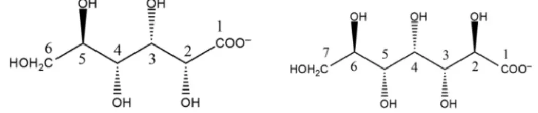 Fig. 1. Structural formulas of D-gluconate (left) and D-heptagluconate (right).