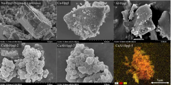 Figure 2. Scanning electron microscopy (SEM) images of sodium heptagluconate (Na-Hpgl) reference  salt as well as the binary (Ca-Hpgl, Al-Hpgl) and ternary (CaAl-Hpgl) compounds with Ca 2+  and Al 3+