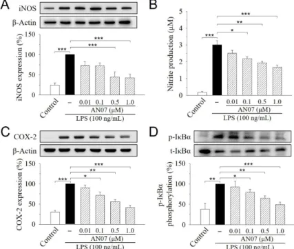 Figure 3. AN07 prevents lipopolysaccharide (LPS)-induced increase in the inducible nitric oxide  synthase (iNOS) expression (A), NO production (B), cyclooxygenase-2 (COX2) expression (C), and  inhibitor of nuclear factor kappa B-alpha (IκBα) phosphorylatio