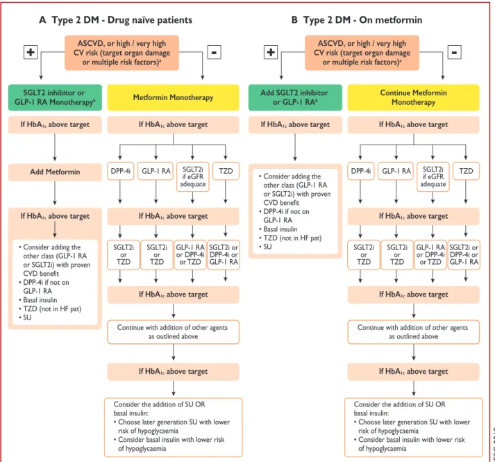 Figure 3 Treatment algorithm in patients with type 2 diabetes mellitus and atherosclerotic cardiovascular disease, or high/very high CV risk Treatment algorithms for (A) drug-naı¨ve and (B) metformin-treated patients with diabetes mellitus