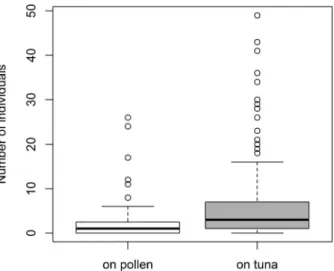 Fig. 1. — Abundance of F. polyctena within observation plots at baits of different types (medians, quartiles, min-max values, and outliers).