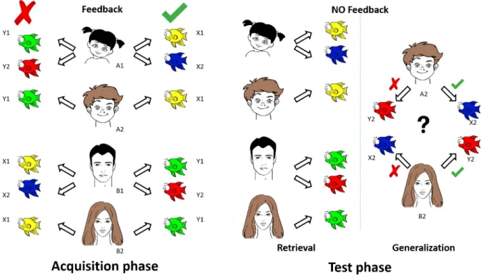 Fig 1. Graphic overview of the visually guided acquired equivalence learning paradigm