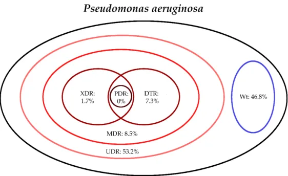 Figure 5. Classification of Pseudomonas aeruginosa isolates from UTIs into resistance categories (2008–