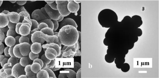 Fig. 3. TEM images of samples TiO 2 _HS Ac 500 -Au (a, b) and TiO 2 _HS Ac 500 -Pt (c, d)