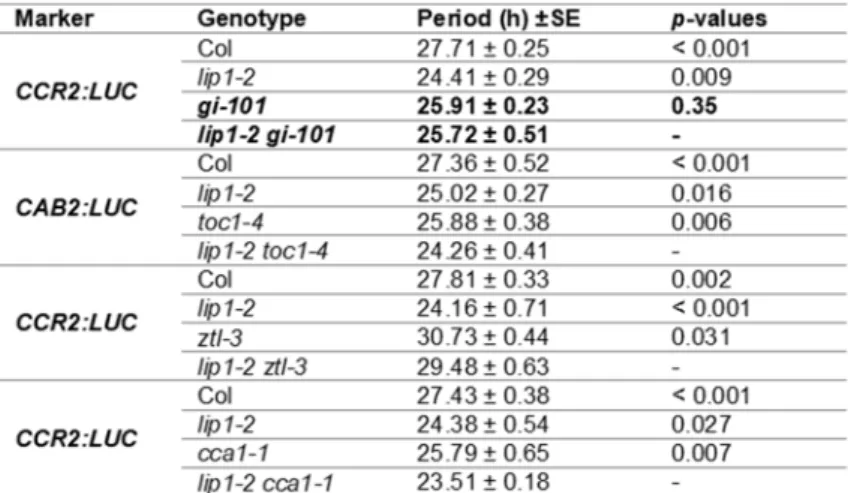 Table 1. Period estimates demonstrate genetic interaction between LIP1 and GI. 