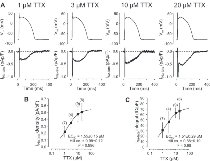Fig. 1. Concentration-dependent e ﬀ ect of tetrodotoxin (TTX) in isolated canine ventricular myocytes under APVC conditions