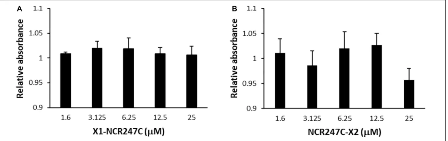 FIGURE 4 | Viability of human melanoma cell line A375 treated with (A) X1-NCR247C or (B) NCR247C-X2