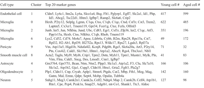 Fig. 1 Identification of cerebromicrovascular endothelial cells based on differentially expressed marker genes