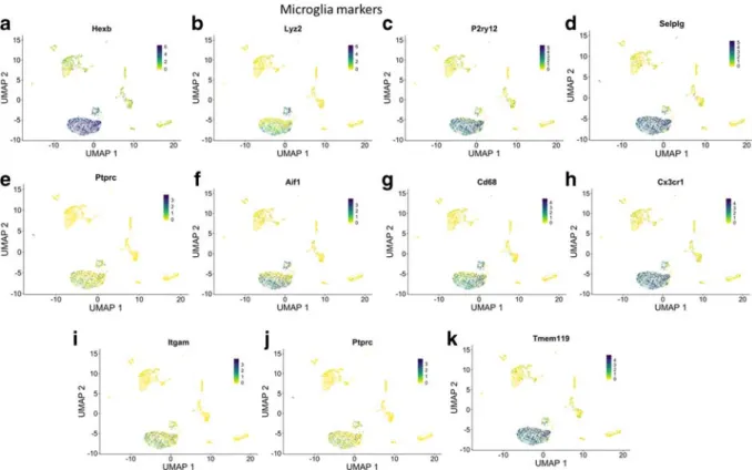 Table 2 Senescence marker genes. SASP , senescence-associated secretory phenotype