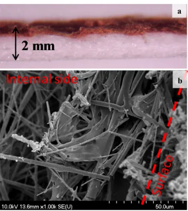 Figure 5. Distribution of the immobilized BiOI: Vertical optical image (a) and SEM micrograph (b) of  the CP_MQ_s.c