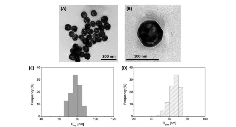 Fig. 1 Representative TEM images of the synthesized hollow Au NPs at two magni ﬁ cations (panels A and B) with their external and pore diameter distributions (panels C and D).