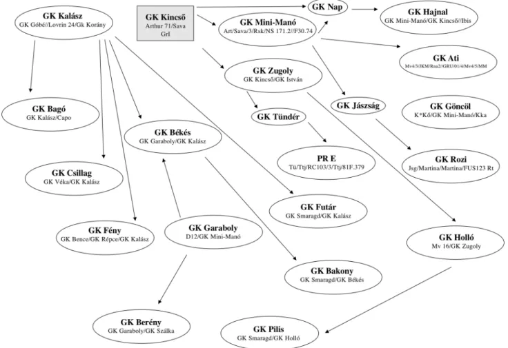 Fig. 3    Relation between the Szeged-bred wheat cultivars and their connection to GK Kincső