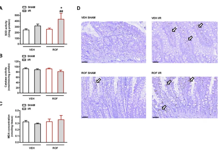 Fig. 4. Jejunal activities of the antioxidant superoxide dismutase (SOD, A) and catalase (B), and the tissue levels of malondialdehyde (MDA, C) in rats treated with vehicle (VEH) or rofecoxib (ROF, 5 mg/kg) for 4 weeks and subjected to sham operation or ca