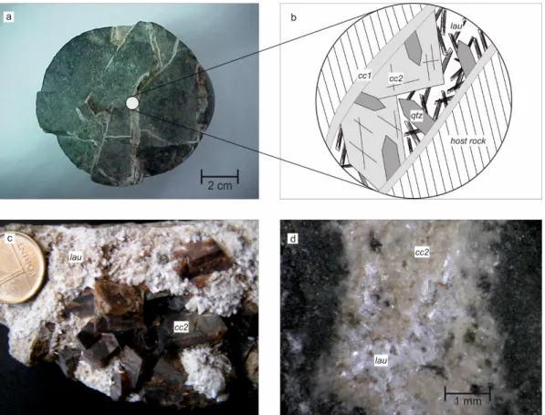 Figure 5. Typical vein-filling mineralogy of the amphibolite. (a) Representative fractured amphibolite  bore  core