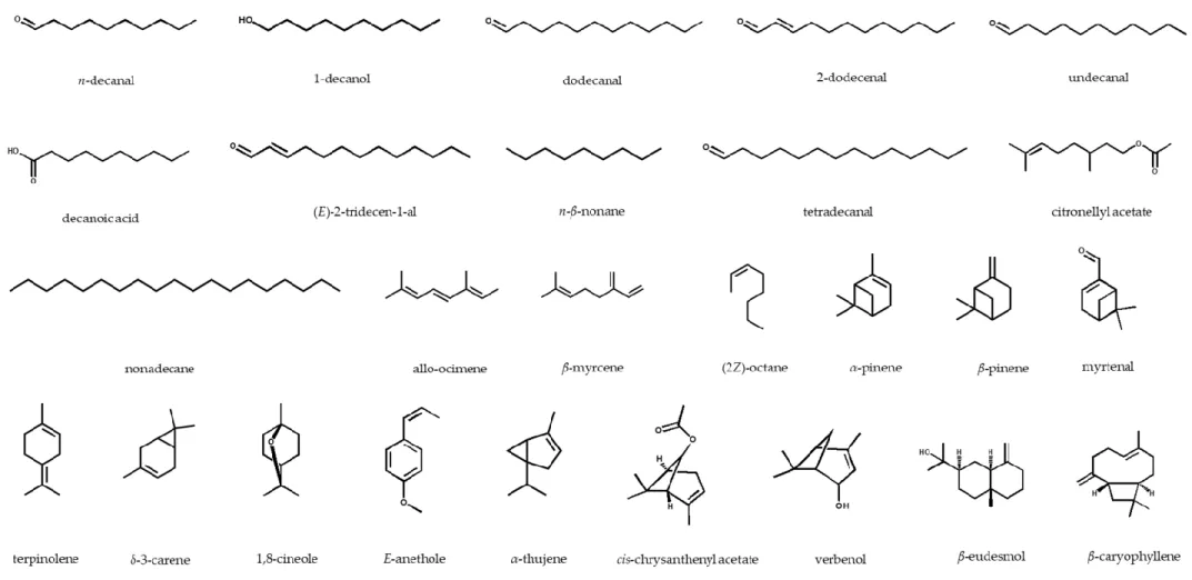 Figure 2. Chemical structures of the major essential oil compounds identified in the Ducrosia genus