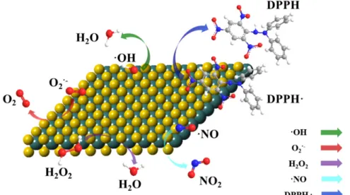 Figure 6. Illustration of the multi-fold antioxidant activity of MoS 2  nanosheets. Reprinted with  permission from (Chen, T.M.; Zou, H.; Wu, X.J.; Liu, C.C.; Situ, B.; Zheng, L.; Yang, G.W