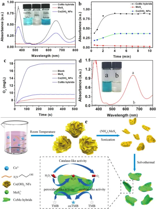 Figure 7. Absorbance intensity of TMB and 50 mM H 2 O 2  upon the addition of different materials (a)