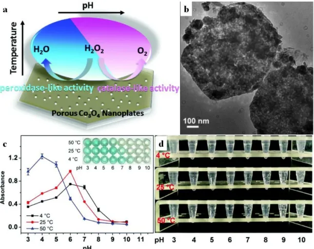 Figure 3. Schematic representation of the multienzymatic activity of porous Co 3 O 4  flakes (a) captured  on TEM micrograph (b), the peroxidase activity of the nanoflakes in TMB assay with visual  representation as inset photograph (c) and its O 2  evolut