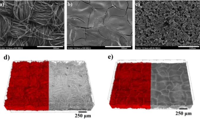 Fig. 1. Characteristic SEM images (a–c) and typical volume rendered 3D CT images of the carbon cloth (d–e), where the left sides of the pictures show the pores with red colour and the right sides show the material