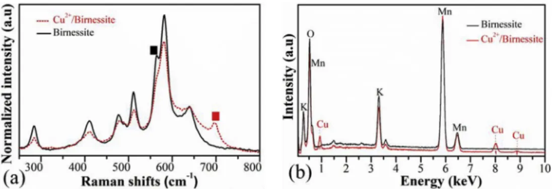 Fig. 3 e Thermal decomposition of the Birnessites and Cu 2þ /Birnessite samples in the air (a)