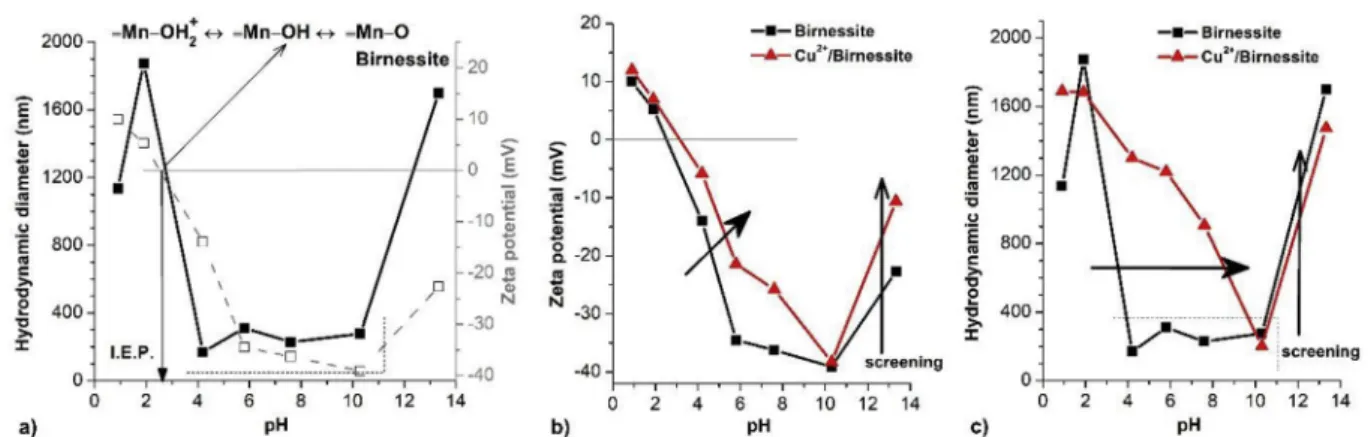 Fig. 5 e Characterization of the Birnessite (a) by the pH-dependent zeta potential (z) and hydrodynamic diameter (Z AVE ) at 10 mmol L ¡1 NaCl