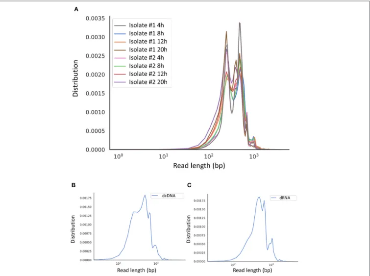FIGURE 1 | Aligned read length distribution. Line chart presentation of the average of aligned read lengths obtained via Nanopore sequencing