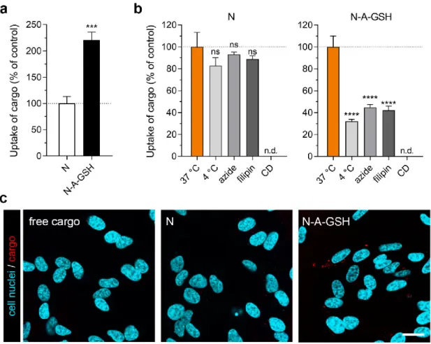 Figure  7.  Cellular  uptake  of  niosome  cargo  in  differentiated  SH-SY5Y  neuronal  cells  after  4  h  of  incubation