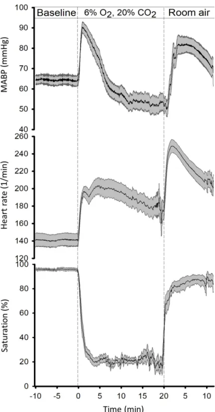 Fig 2. Hemodynamic and oxygenation changes during PA. In all panels, solid lines indicate the mean and the grey shaded area the SEM