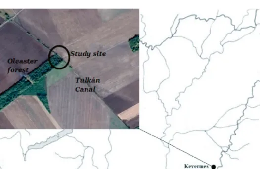 Fig. 1. Map of the study site and its location within Hungary