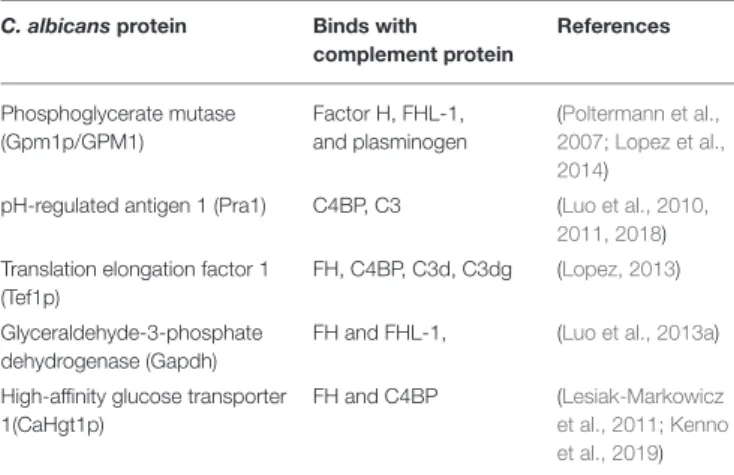 TABLE 1 | C. albicans cell surface associated proteins important for binding with host complement proteins.