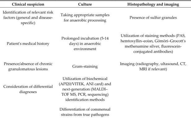 Table 2. Hallmarks of the diagnosis of cervicofacial actinomycoses (based on [8]). 