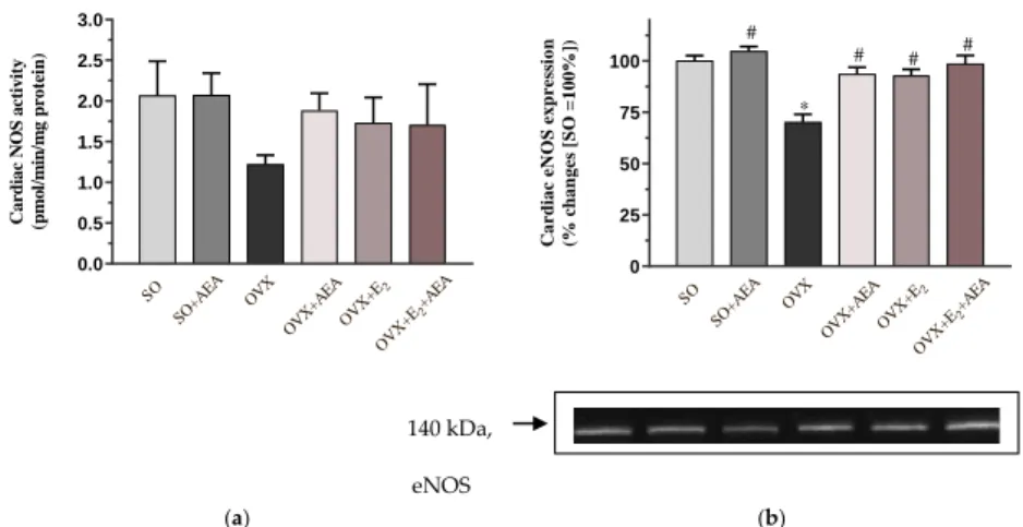 Figure 1. Effects of anandamide and estrogen treatments on cardiac activity and expression of  the  NOS enzyme in SO and OVX animals