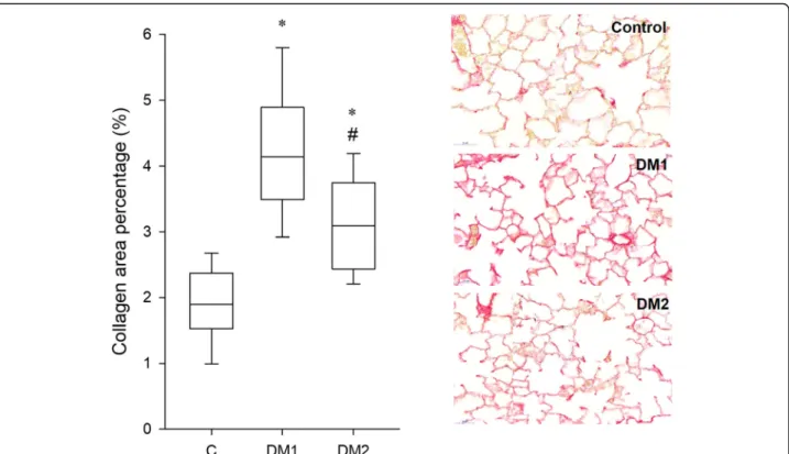 Fig. 5 Collagen expression in the lung. Areas of collagen obtained from lung histology (left) and representative lung tissue sections in control rats (C, n = 14) and in rats in the type 1 diabetes (DM1, n = 13) and type 2 diabetes (DM2, n = 14) groups