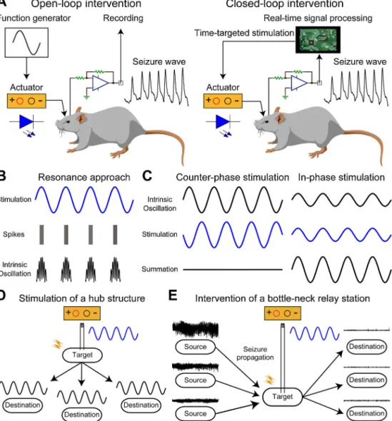 Fig. 2. Brain stimulation techniques for intervening with pathological oscillations.