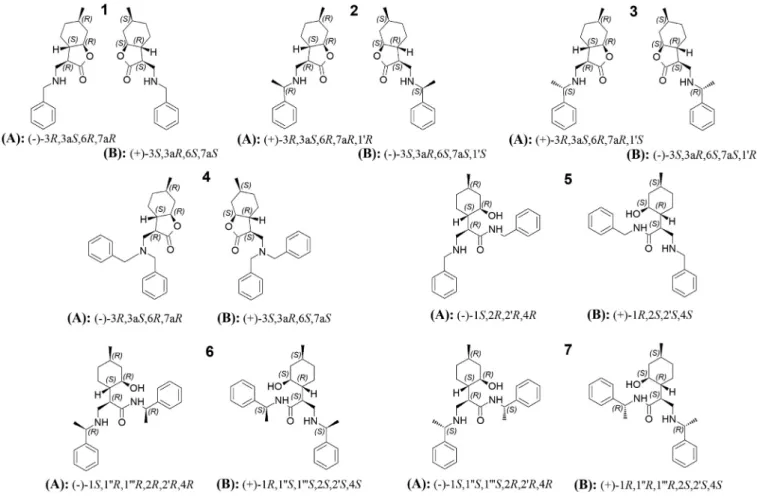 Fig.  1. Structure  of isopulegol-based ß-amino lactones and ß-amino amides 