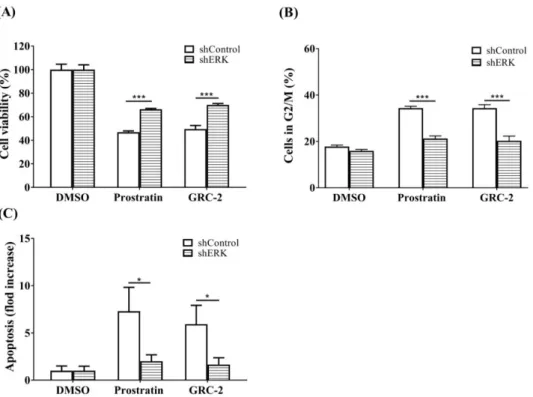 Figure 6. Knockdown of ERK attenuates the cytotoxicity of prostratin and GRC-2 in A549 cells