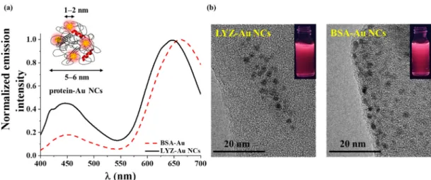 Figure 1. (a) The photoluminescence (PL) spectra of the lysozyme (LYZ)- and bovine serum albumin  (BSA)-gold nanoclusters (Au NCs) with the schematic illustration of protein-Au NCs and (b) the  representative high resolution transmission electron microscop