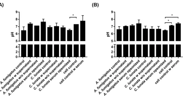 Figure 5. Extracellular pH of the environment after 60 min (A) and 3 h (B) of interaction with A