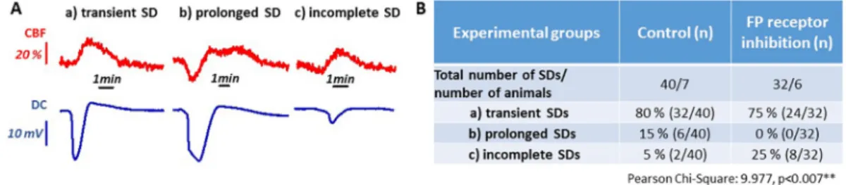 Fig. 2. Distinct types of spreading depolarization (SD) events, and their incidence during the phase of continuous elicitation