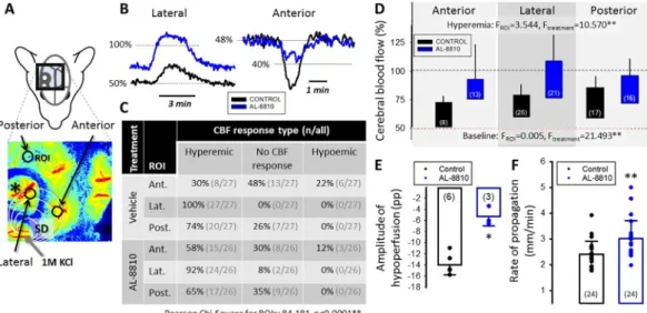Fig. 4. The impact of AL-8810 treatment on the cerebral blood ﬂow (CBF) response to spreading depolarization (SD) under continuous elicitation