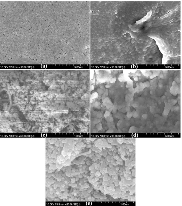 Fig. 5 SEM micrographs of the (a) neat PVDF membrane, (b) used (contaminated) PVDF membrane, (c) clean TiO 2 /CNT-coated membrane, (d) TiO 2 /CNT-coated membrane after use (contaminated), and (e) the